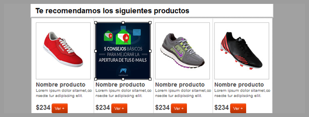 edicion-imagenes-newsletter-16