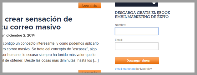 formularios-email-marketing-multiidioma-7