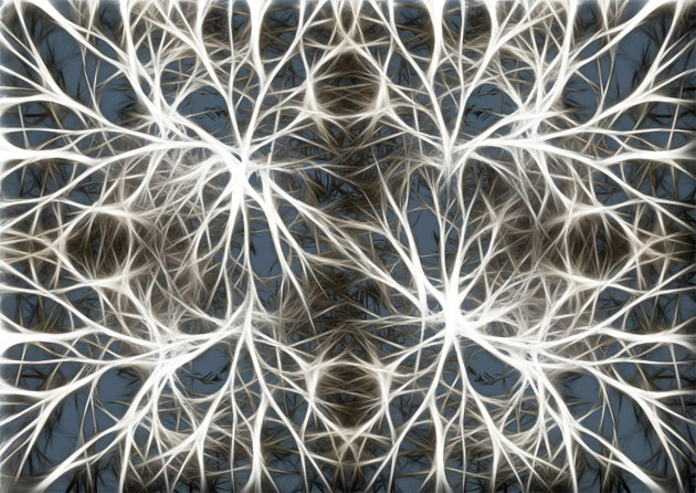 Aplicando el neuromarketing a nuestro marketing Aplicando el neuromarketing a nuestro marketing