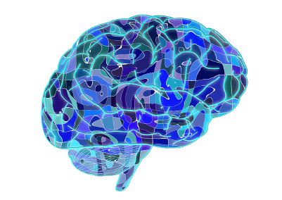 Mapa del cerebro Mapa del cerebro