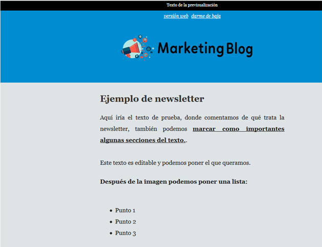 ejemplo de newsletter