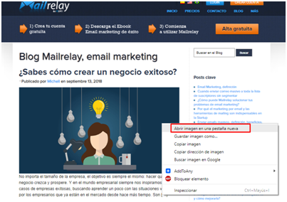newsletter premium newsletter premium