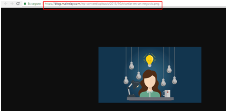 newsletter premium newsletter premium