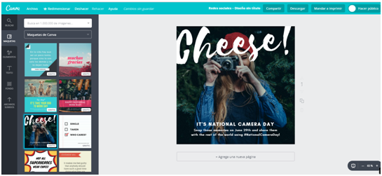 newsletter premium newsletter premium