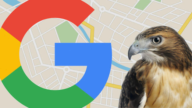 algoritmo Google 'Hawk' algoritmo Google 'Hawk'
