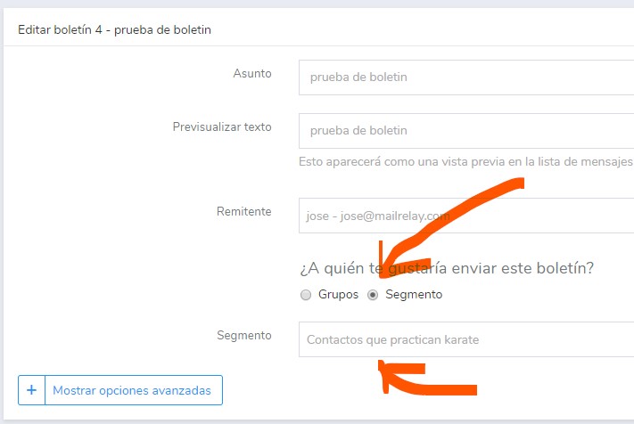 envío de newsletter segmentada envío de newsletter segmentada