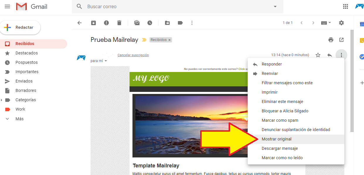 Comprobar SPF y DKIM