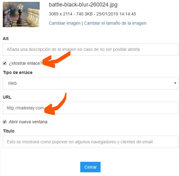 editar newsletter