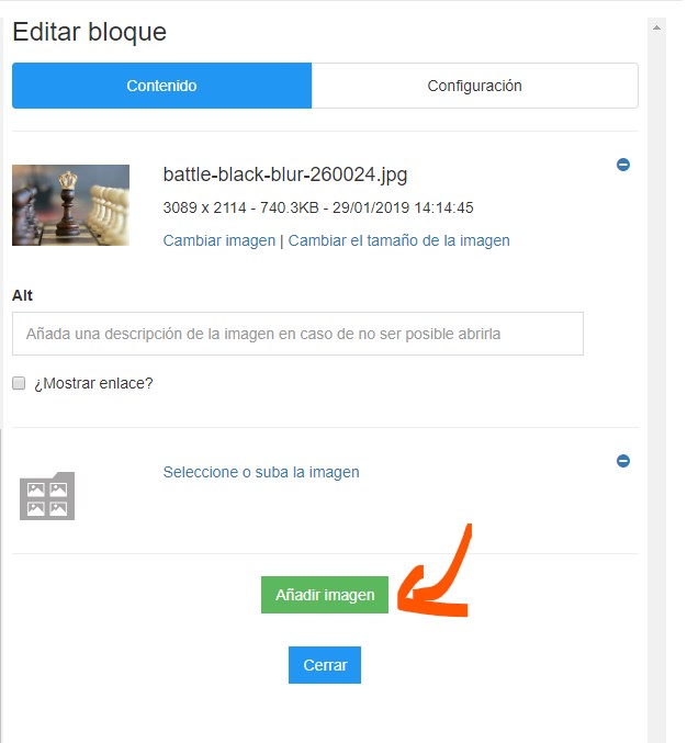 editor de newsletters