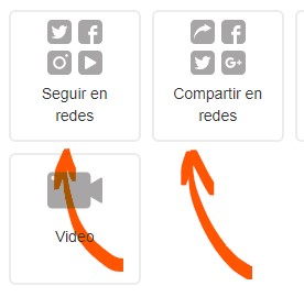 editor de newsletter