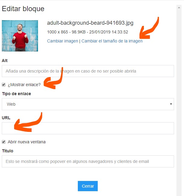 editor de newsletters gratuito
