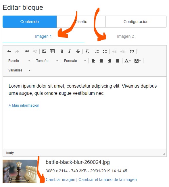 editor de newsletters gratis