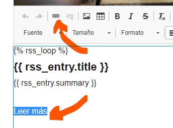 Newsletter RSS, añadiendo el resumen de la entrada