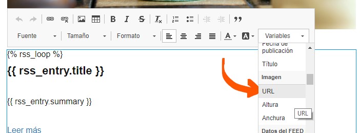 Newsletter RSS, añadiendo el resumen de la entrada