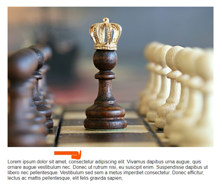 newsletter RSS