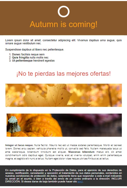 plantilla de email para boletines otoño plantilla de email para boletines otoño