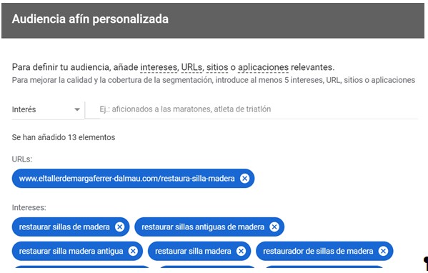 google ads audiencia afín