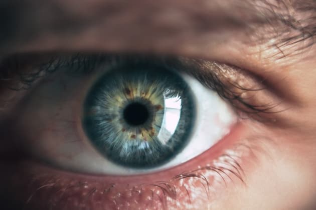 Seguimiento ocular 