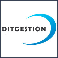 DIT Gestión